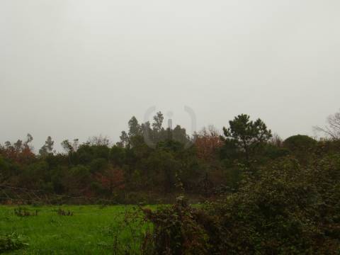 Terreno  Venda em Santa Joana,Aveiro