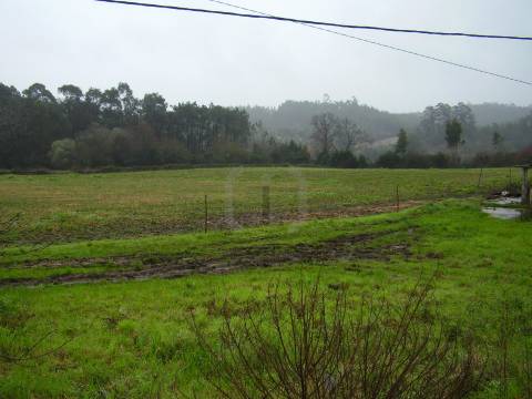 Terreno  Venda em Santa Joana,Aveiro