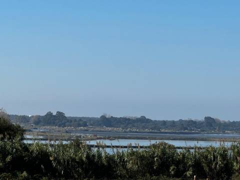 Moradia T4 Venda em Glória e Vera Cruz,Aveiro