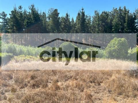 Terreno  Venda em Pampilhosa,Mealhada