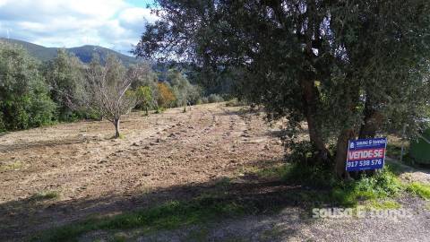 Terreno Para Construção  Venda em Leiria, Pousos, Barreira e Cortes,Leiria