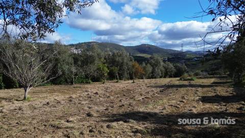 Terreno Para Construção  Venda em Leiria, Pousos, Barreira e Cortes,Leiria