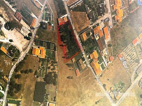 Terreno  Venda em Monte Real e Carvide,Leiria