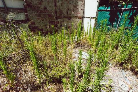 Apartamento T2 Venda em Leiria, Pousos, Barreira e Cortes,Leiria