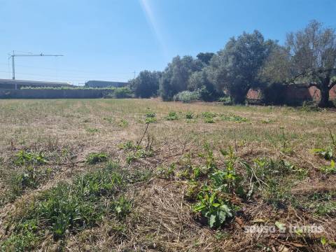 Terreno Para Construção  Venda em Regueira de Pontes,Leiria