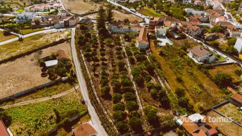 Moradia >=T10 Venda em Guia, Ilha e Mata Mourisca,Pombal