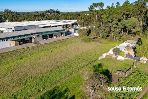 Lote Industrial  Venda em Regueira de Pontes,Leiria