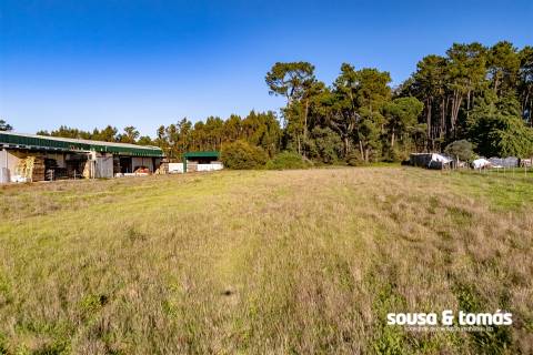 Lote Industrial  Venda em Regueira de Pontes,Leiria