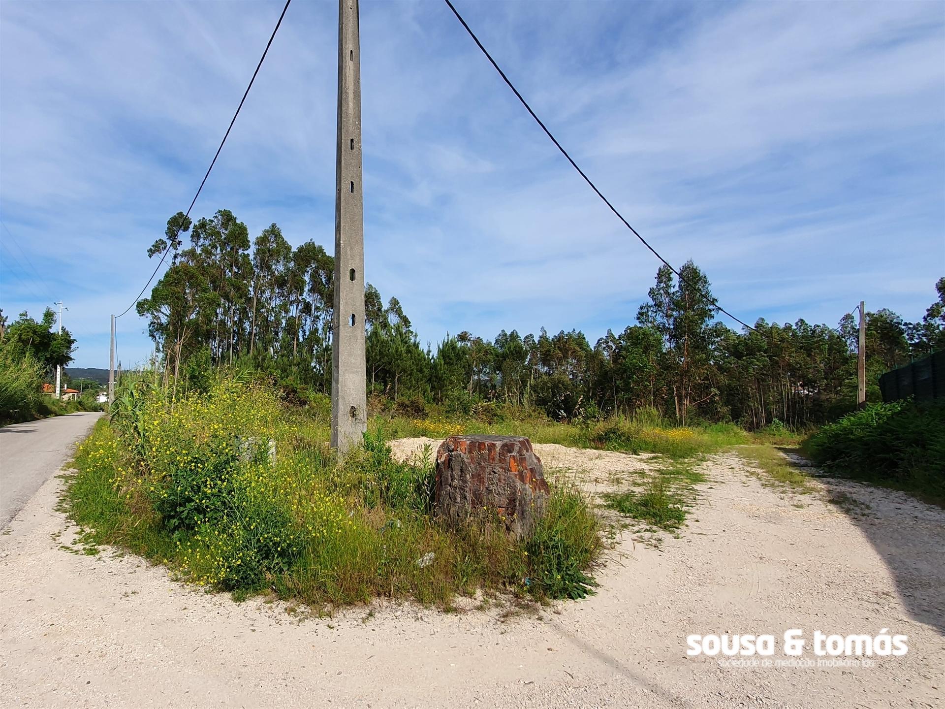 Terreno  Venda em Amor,Leiria