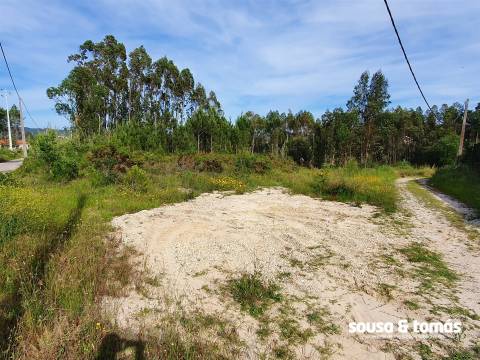 Terreno  Venda em Amor,Leiria