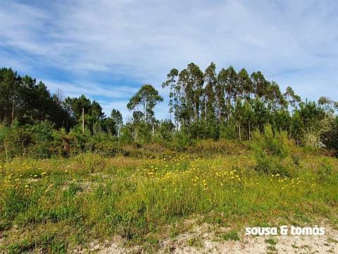 Terreno  Venda em Amor,Leiria
