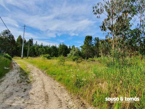 Terreno  Venda em Amor,Leiria