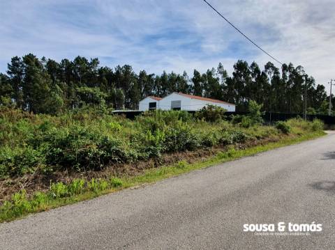Terreno  Venda em Amor,Leiria