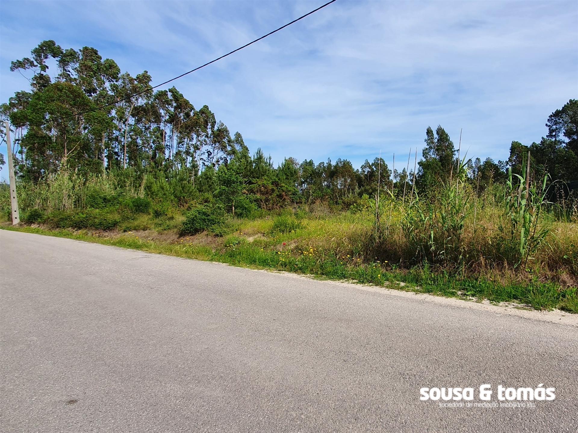 Terreno  Venda em Amor,Leiria