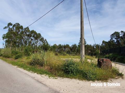 Terreno  Venda em Amor,Leiria
