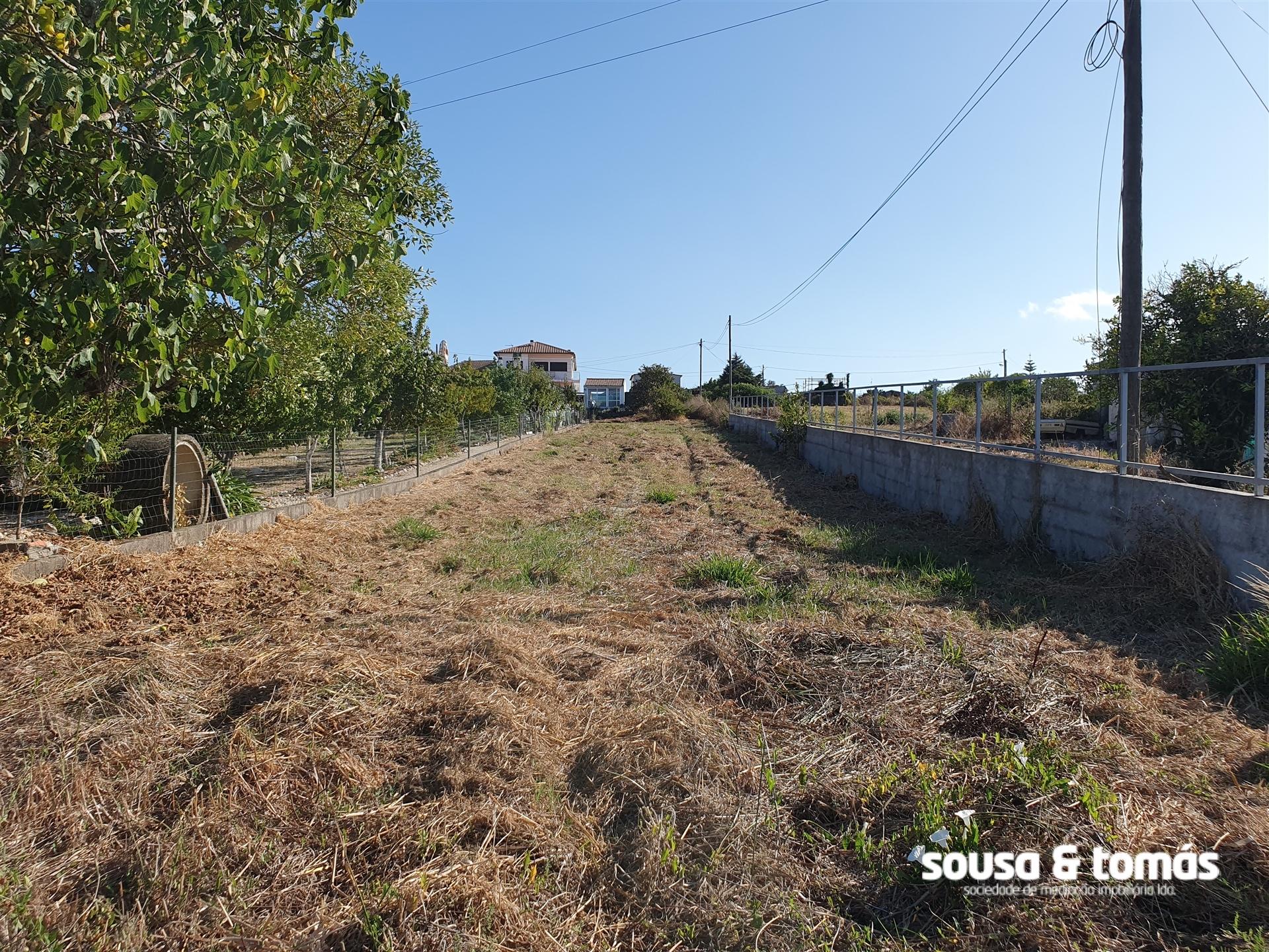 Terreno  Venda em Alfarelos,Soure
