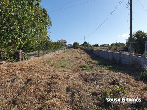 Terreno  Venda em Alfarelos,Soure