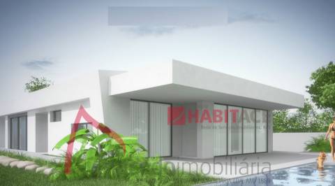 Lotes terreno em Palmeira