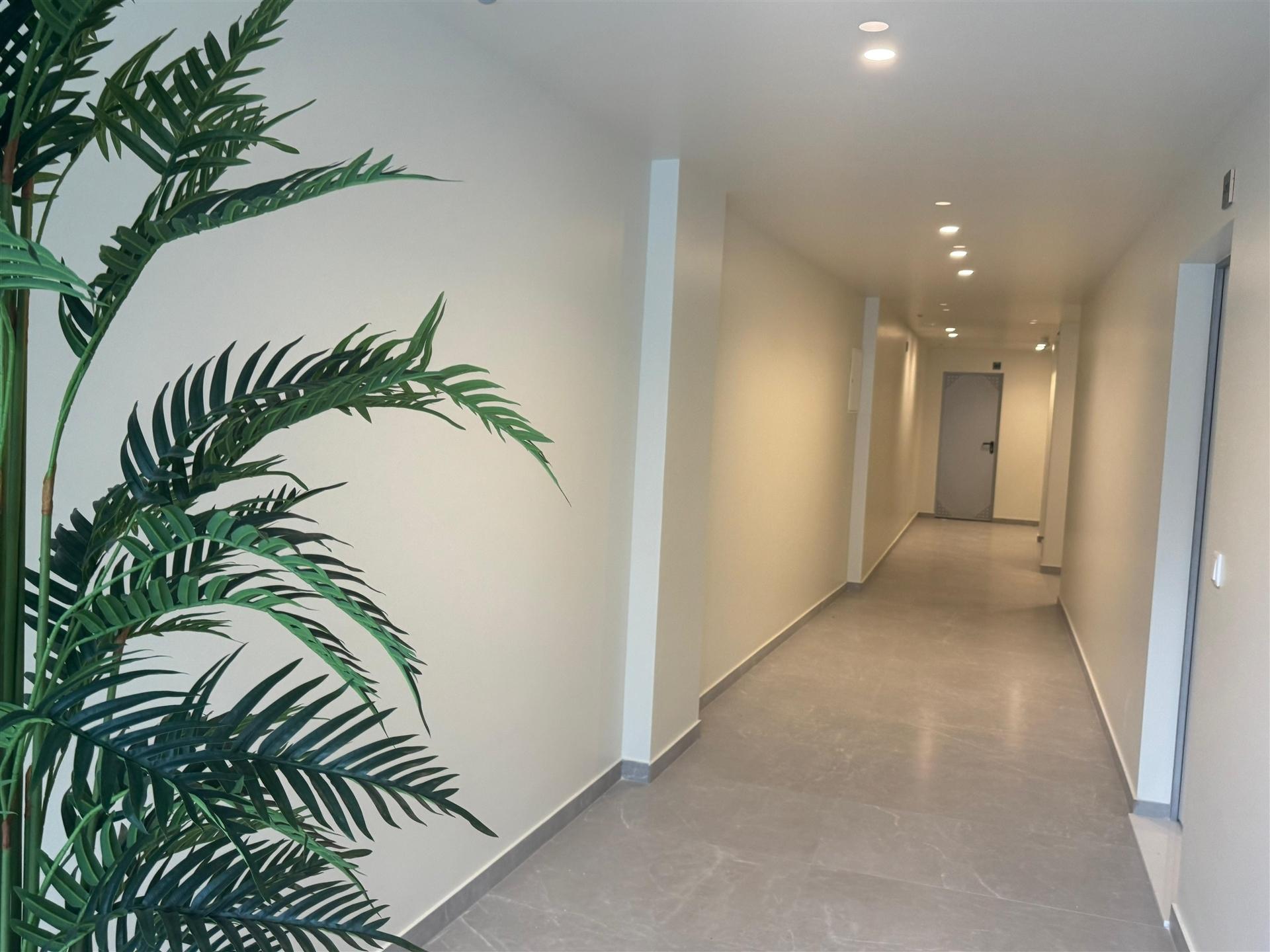 Apartamento T1+1 em S. Vicente