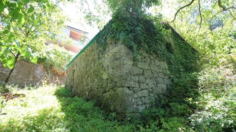 Quinta entre Amares e Gerês com casa para recuperar e vinha