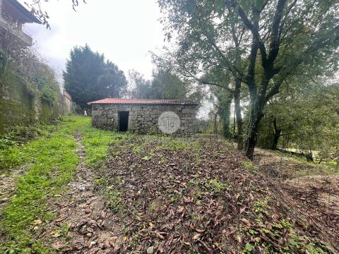 Quinta entre Amares e Gerês com casa para recuperar e vinha
