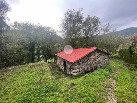 Quinta entre Amares e Gerês com casa para recuperar e vinha