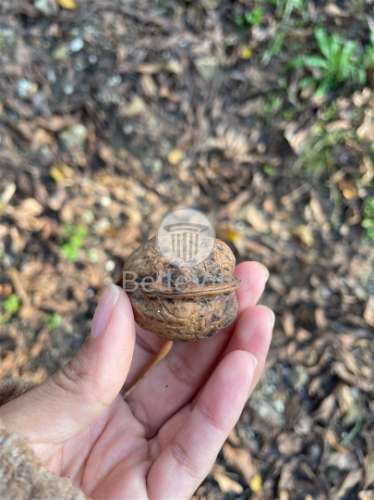 Quinta entre Amares e Gerês com casa para recuperar e vinha