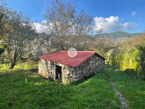 Quinta entre Amares e Gerês com casa para recuperar e vinha