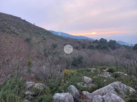 Lote de Terreno  Venda em Chorense e Monte,Terras de Bouro