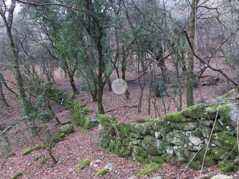Lote de Terreno  Venda em Chorense e Monte,Terras de Bouro