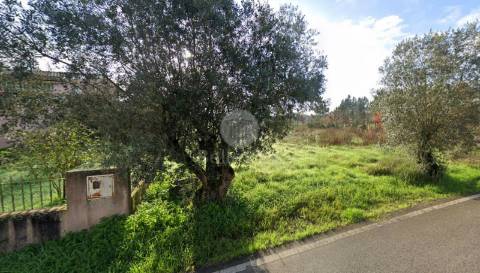 Terreno Rústico em Zona Urbana de Construção, São Lourenço do Bairro, Anadia -  Aveiro