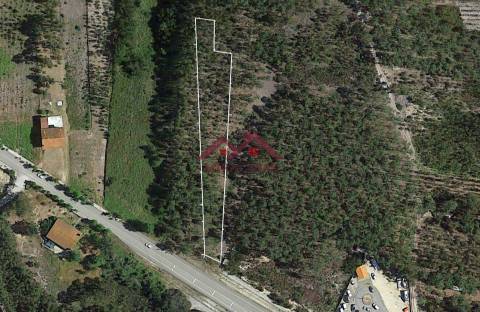 Terreno Rústico  Venda em Mira,Mira