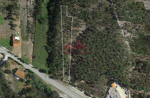 Terreno Rústico  Venda em Mira,Mira