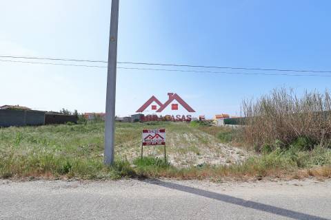 Terreno Para Construção  Venda em Praia de Mira,Mira