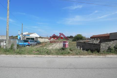 Terreno Para Construção  Venda em Praia de Mira,Mira