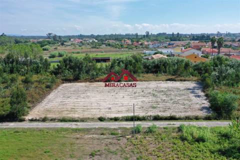 Lote de Terreno  Venda em Mira,Mira