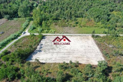Lote de Terreno  Venda em Mira,Mira