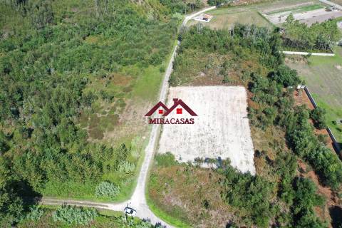 Lote de Terreno  Venda em Mira,Mira