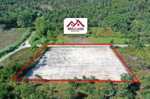 Lote de Terreno  Venda em Mira,Mira