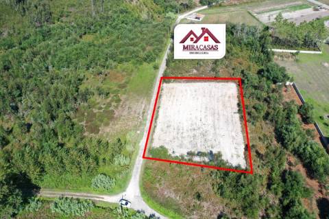 Lote de Terreno  Venda em Mira,Mira