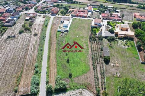 Lote de Terreno  Venda em Mira,Mira