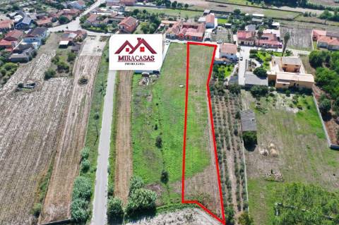 Lote de Terreno  Venda em Mira,Mira