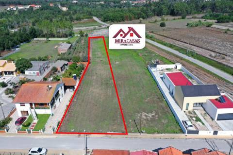 Lote de Terreno  Venda em Mira,Mira