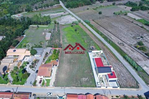 Lote de Terreno  Venda em Mira,Mira