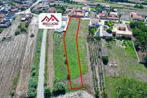 Lote de Terreno  Venda em Mira,Mira
