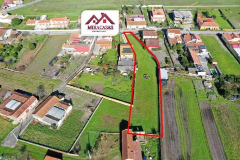 Terreno  Venda em Fonte de Angeão e Covão do Lobo,Vagos