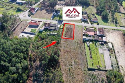 Terreno  Venda em Fonte de Angeão e Covão do Lobo,Vagos