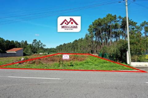 Terreno  Venda em Fonte de Angeão e Covão do Lobo,Vagos