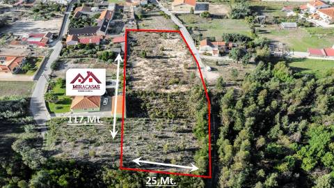Terreno Para Construção  Venda em Mira,Mira