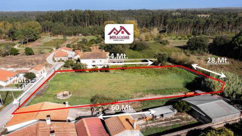 Terreno  Venda em Febres,Cantanhede